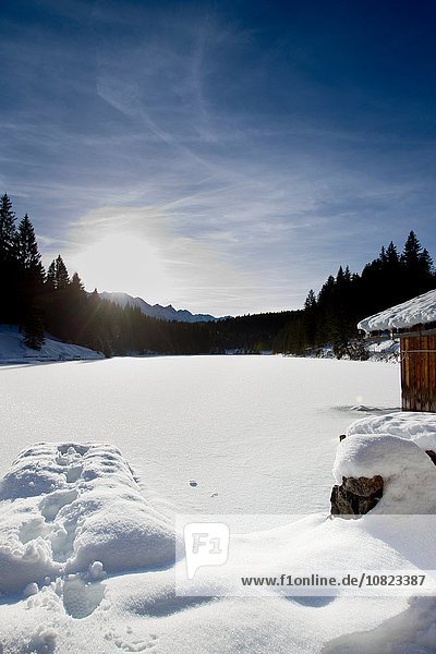 Sonnige Landschaft mit schneebedecktem See  Berg  Bayern  Deutschland