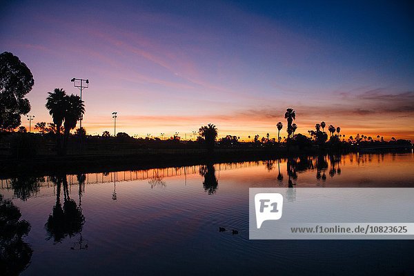 Silhouetten von Palmen bei Sonnenuntergang  San Diego  Kalifornien  USA