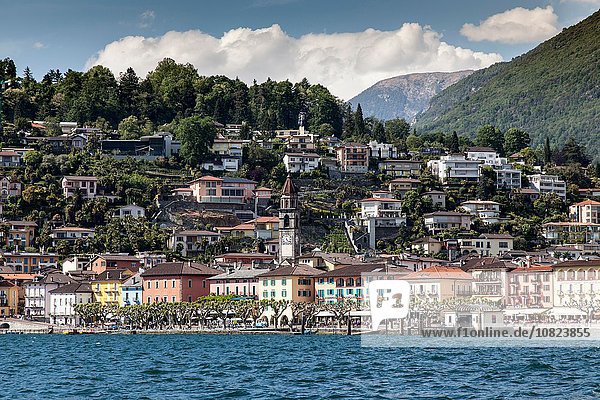 Lago Maggiore,  Ascona,  Tessin,  Schweiz