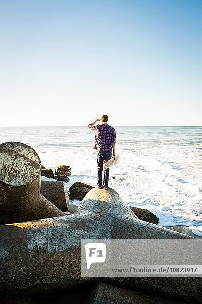 Junger Mann mit Skateboard  auf Wellenbrecher stehend  Blick zum Meer  Rückansicht