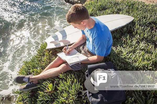 Young man sitting by cliff edge  writing in book  elevated view