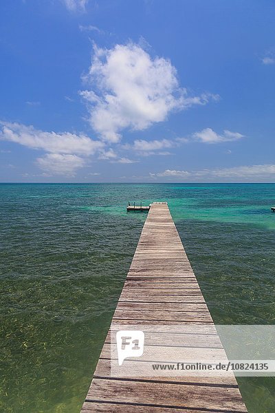 Seelandschaft und Holzsteg  St. Georges Caye  Belize  Mittelamerika