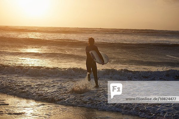 Junger Surfer mit Surfbrett  das ins Meer läuft  Devon  England  UK