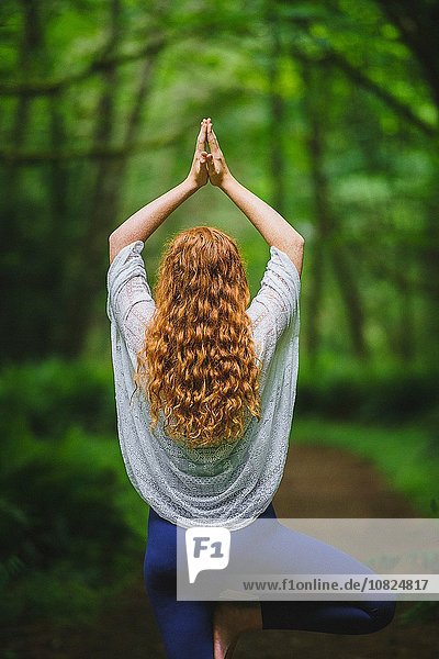 Rückansicht einer jungen Frau im Wald  die Yoga in Baumhaltung praktiziert.