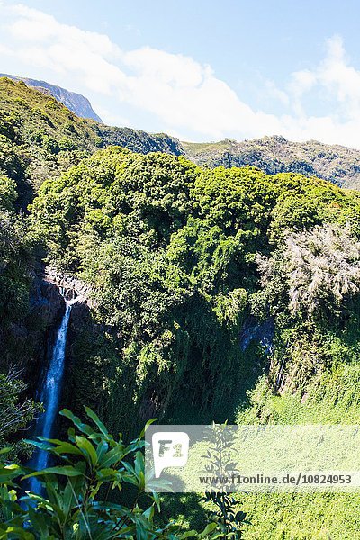 Erhöhter Blick auf Wasserfall und Regenwald  Haleakala  Hawaii  USA
