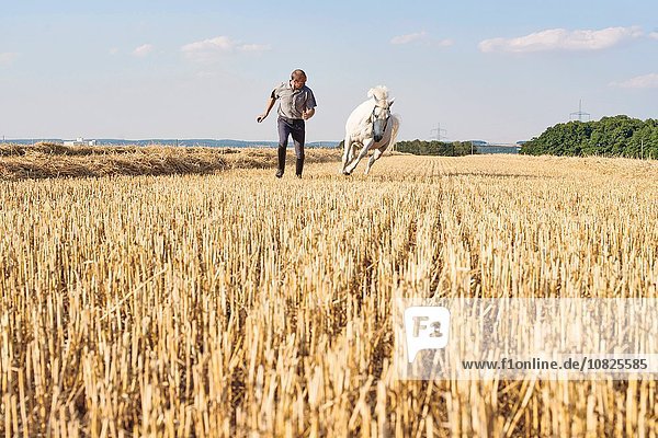 Man training galloping white horse in field