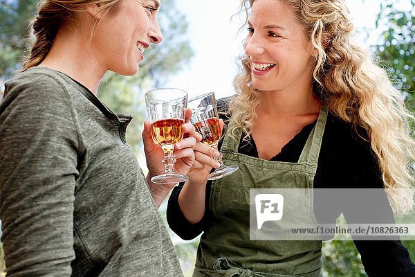 Two women toasting with wine glasses