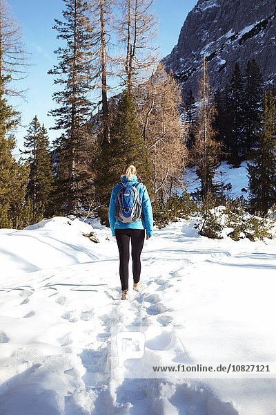 Rear view of young woman hiking through mountain snow  Austria
