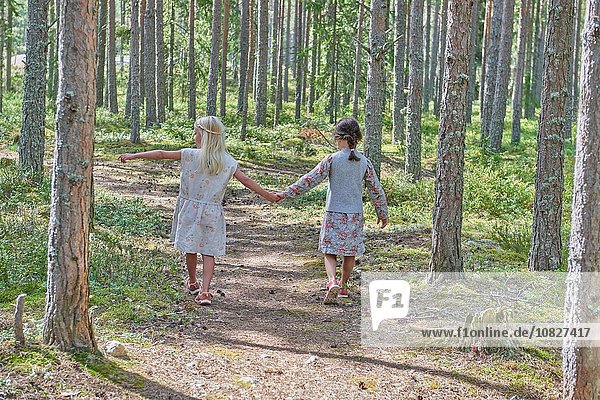 Kleidung gehen halten Wald Retro Rückansicht Ansicht 2 Mädchen multitasking