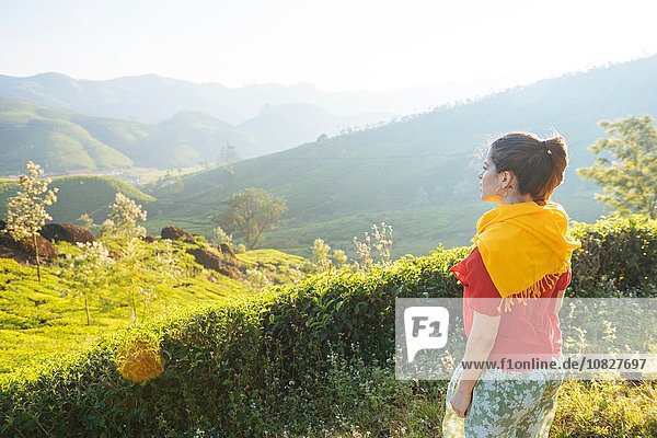 Junge Frau mit Blick auf Teeplantagen bei Munnar  Kerala  Indien
