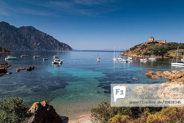 Erhöhte Ansicht der in der Bucht verankerten Yachten  Girolata  Korsika  Frankreich