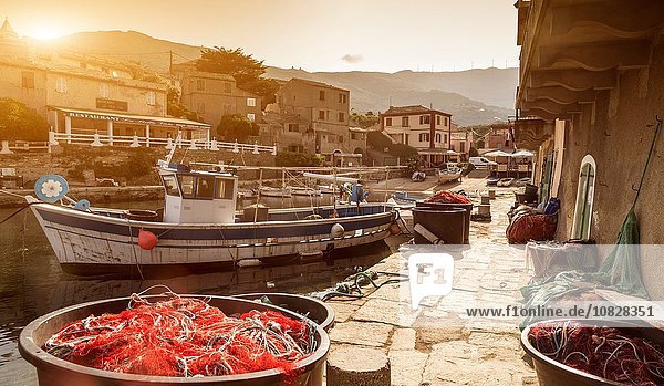 Fischerboote im Hafen  Centuri  Korsika  Frankreich