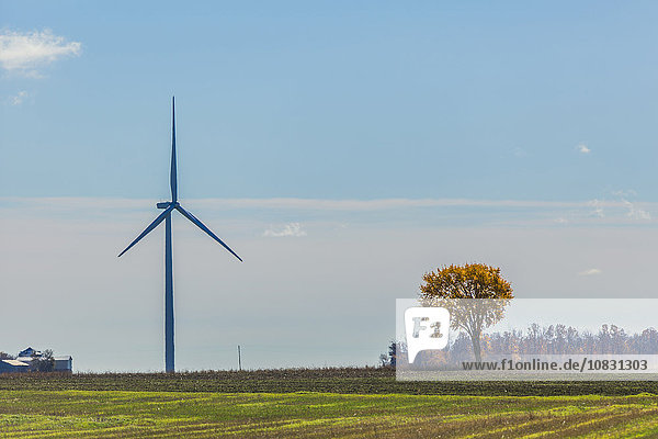 Windturbine Windrad Windräder Ländliches Motiv ländliche Motive Feld