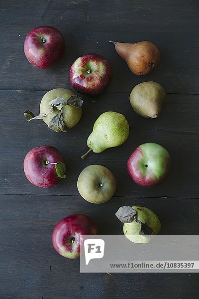 Verschiedene Apfel- und Birnensorten (Draufsicht)