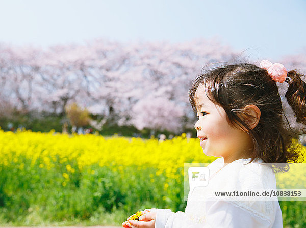 Young smiling Japanese girl enjoying cherry blossoms in a city park