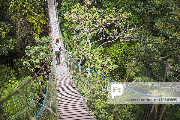 Amazonas-Dschungel-Hängebrücke im Gebiet von Puerto Maldonado  Peru  Südamerika