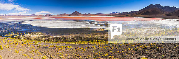 Laguna Colorada (Rote Lagune)  ein Salzsee im Altiplano von Bolivien im Eduardo Avaroa Andean Fauna National Reserve  Bolivien  Südamerika