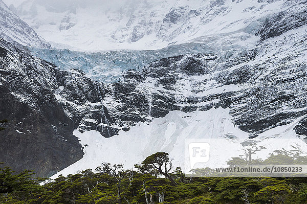 Glaciar Frances  Französisches Tal (Valle Frances)  Torres del Paine National Park  Patagonien  Chile  Südamerika