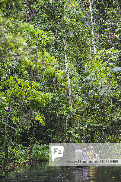 Einbaum-Kanu-Fahrt im Amazonas-Regenwald  Coca  Ecuador  Südamerika