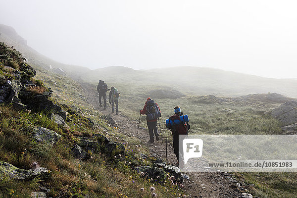 Hikers in the misty landscape at dawn  Minor Valley  High Valtellina  Livigno  Lombardy  Italy  Europe