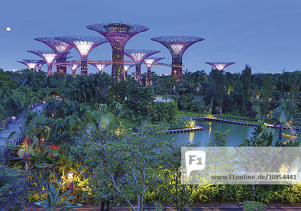 Singapur  Botanischer Garten