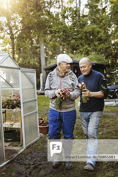 Happy gay couple holding fresh root vegetables at garden
