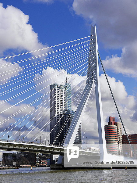 Erasmus bridge  Rotterdam  Netherlands  Europe