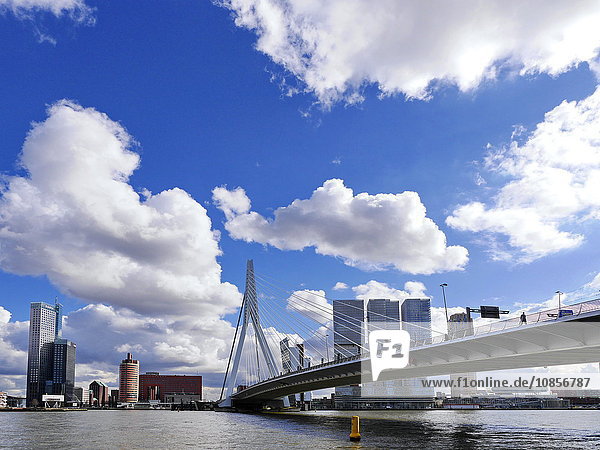 Erasmus bridge  Rotterdam  Netherlands  Europe