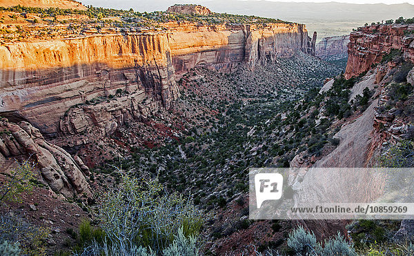 Canyon  Colorado National Monument  Colorado  Vereinigte Staaten von Amerika