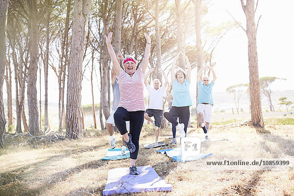 Ältere Erwachsene praktizieren Yoga im sonnigen Park