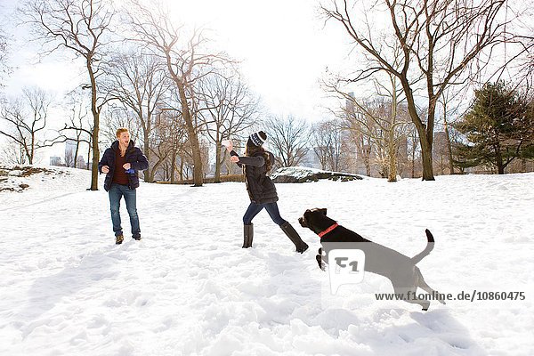 Junges Paar spielt mit Hund im verschneiten Central Park  New York  USA