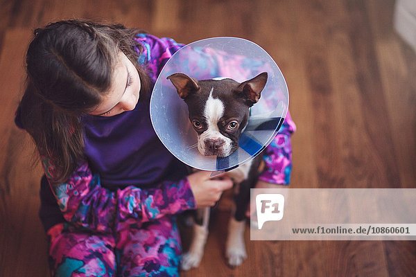 Mädchen tröstet Boston-Terrier-Welpen mit Zapfen
