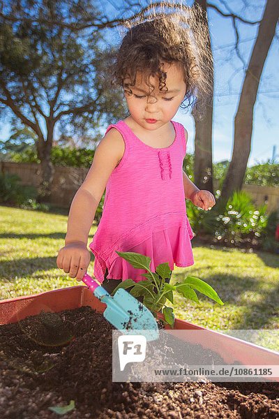 Junges Mädchen im Garten  Pflanze in Kübel pflanzen  Kelle halten