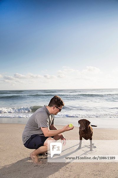 Mittelgroßer erwachsener Mann und Hund am Strand  Mann hält dem Hund den Ball hin