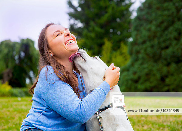 Junge Frau sitzt mit Hund im Park  Hund leckt Frau das Gesicht