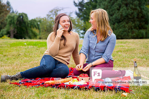 Zwei junge Frauen beim Picknick im Park mit einem Smartphone