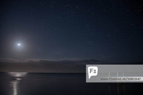 Starry sky and full moon illuminate iconic hammocks over waters  Isla Holbox  Mexico