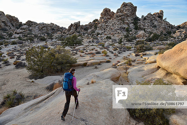 Hiker exploring Mojave Desert  Joshua Tree National Park  California