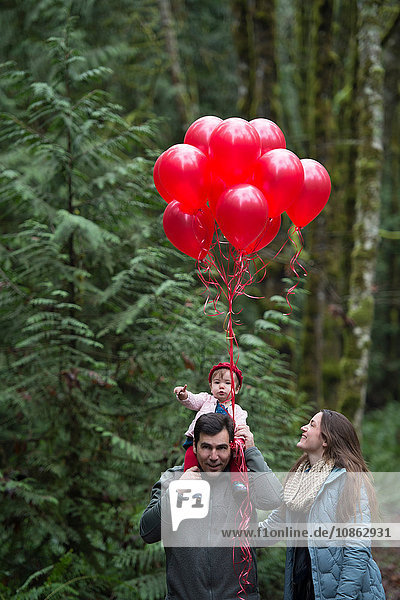 Eltern spazieren mit Kleinkind-Tochter auf den Schultern und einem Haufen roter Luftballons im Wald