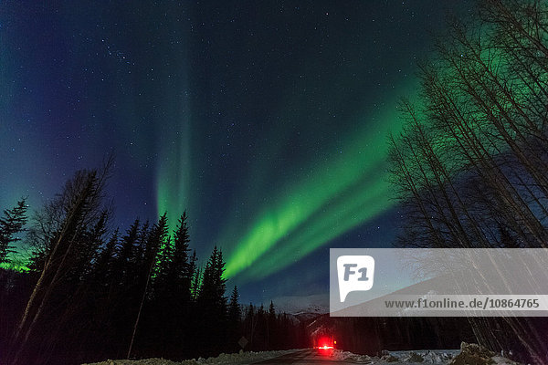 Polarlicht  Nordlicht über der Hot Springs Road  in der Nähe des Chena Resort  in der Nähe von Fairbanks  Alaska