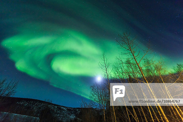 Polarlicht,  Nordlicht in der Nähe des Chena Resorts,  in der Nähe von Fairbanks,  Alaska