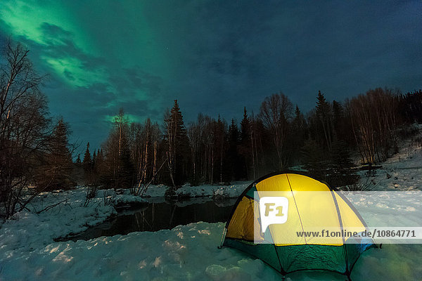 Aurora borealis  Nordlicht über dem Zelt mit Laterne beleuchtet  nahe Chena Resort  nahe Fairbanks  Alaska