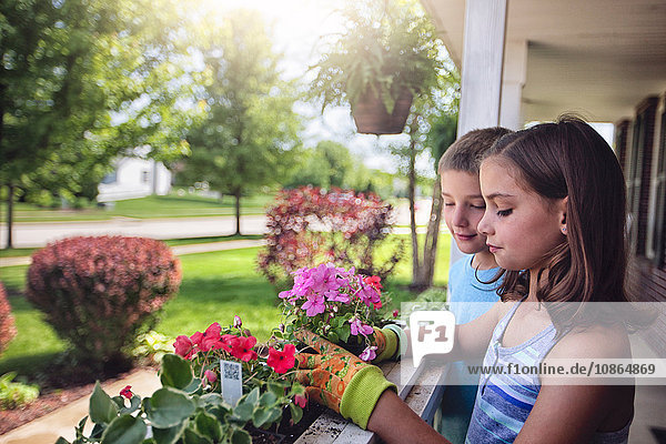 Junge und Mädchen pflanzen Blumen in Pflanzkasten
