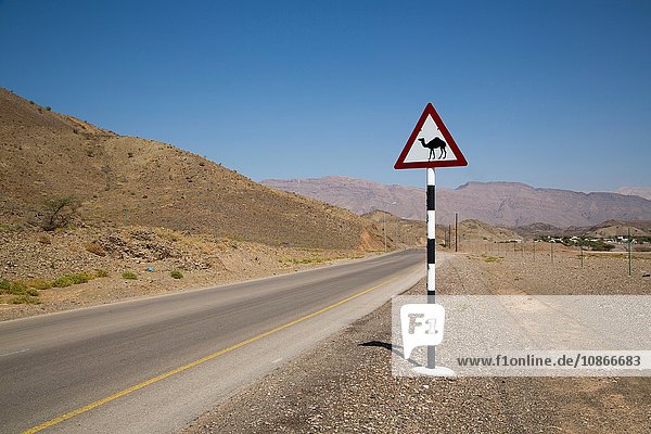 Schild Kamelüberquerung auf einer Landstraße