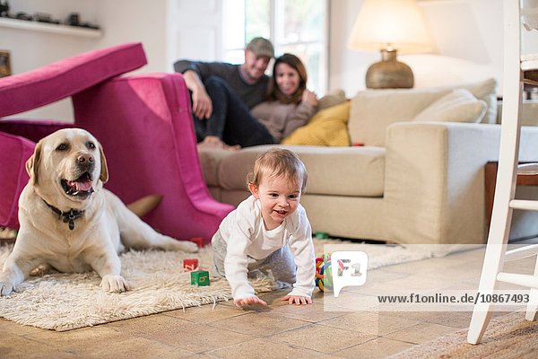Babyjunge und Haushund spielen in einer Festung aus Sofakissen