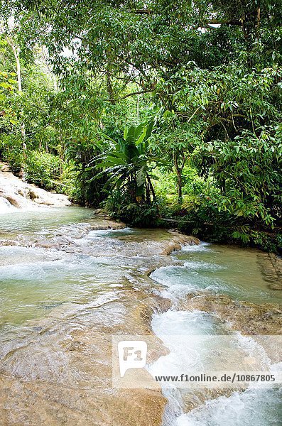 Dunn's River Falls Jamaika