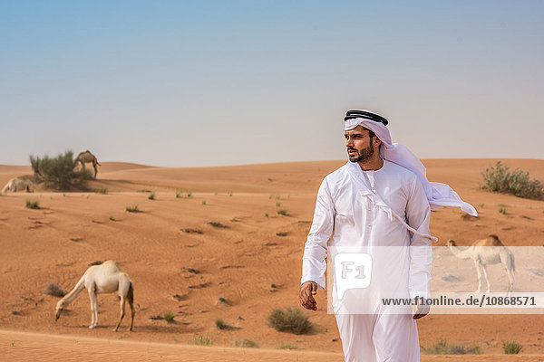 Mann aus dem Nahen Osten trägt traditionelle Kleidung und geht in der Wüste von Kamelen weg  Dubai  Vereinigte Arabische Emirate