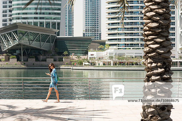 Weibliche Touristin schlendert am Wasser entlang und liest Smartphone-Texte  Dubai  Vereinigte Arabische Emirate