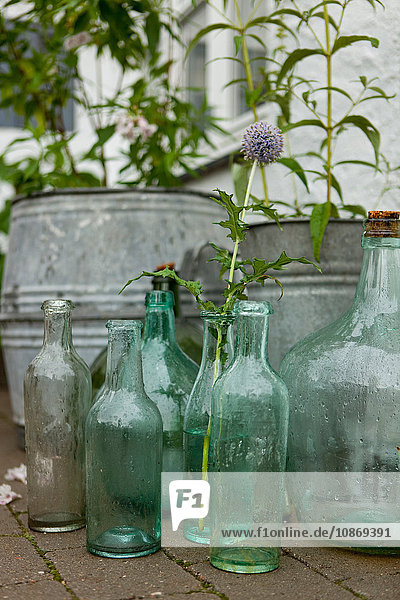Alte Zinnpflanzentöpfe und -flaschen auf der Terrasse bei Regen