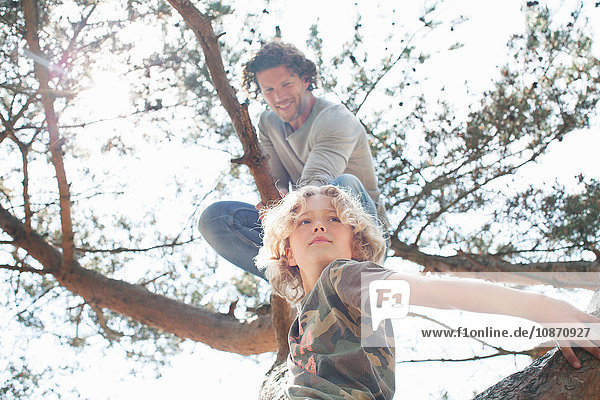 Vater und Sohn klettern auf Baum